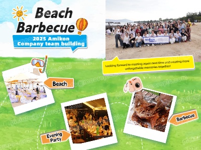 Rückblick auf das Teambuilding-Event 2025 in Amikon Beach | Grillen, Spiele und eine Party entfachen die Sommerleidenschaft