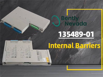 Alles, was Sie über die internen Barrieren Bently Nevada 135489-01 wissen müssen
